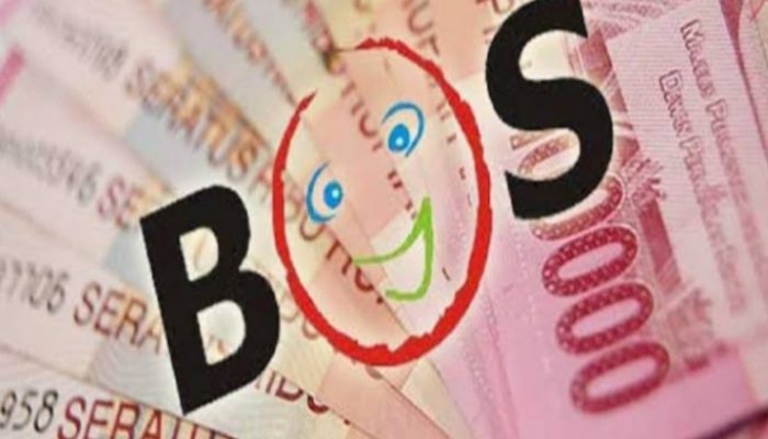 10 SD di Cisewu Belum Terima BOS, untuk Bayar Guru Honorer Terpaksa Ngutang