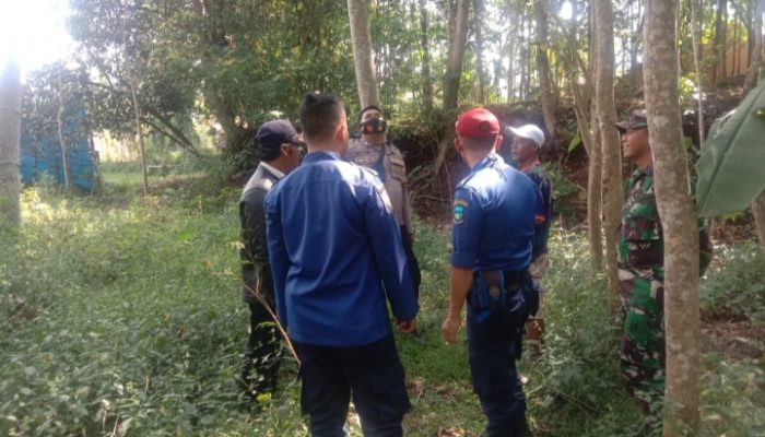 Kawanan Monyet Liar Masuki Pemukiman dan Menakut-nakuti Warga Cibiuk