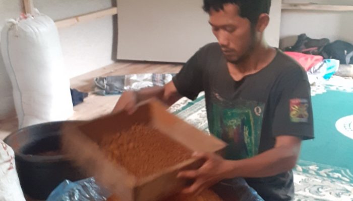 Falm Aren Buka Pabrik Gula Semut di Cisewu, Seminggu Produksi 1,5 Ton