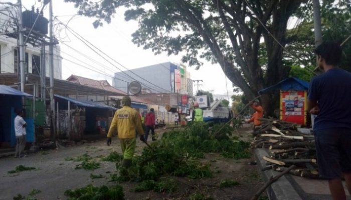 Sejumlah Pohon Besar di Depan Kantoran Pemkab dan DPRD Garut Dipangkas, Ada Apa?