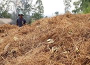 Meski Harganya Sedang Menurun, Produk Unggulan Garut Ini Tetap Menjanjikan