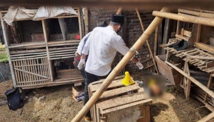 Seorang Pria Ditemukan Tewas di Kandang Ayam, Diduga Korban Pembunuhan