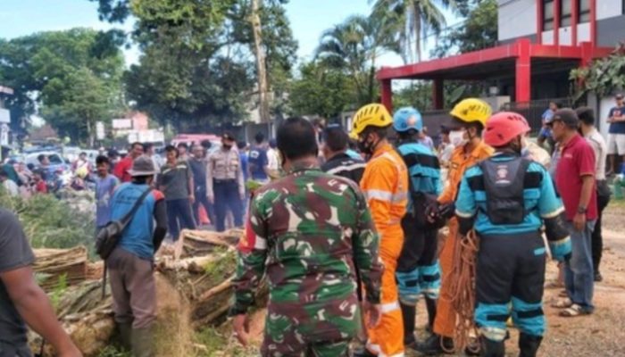 Pohon Tumbang Tutupi Jalan, Lalulintas Tasikmalaya-Garut Tersendat