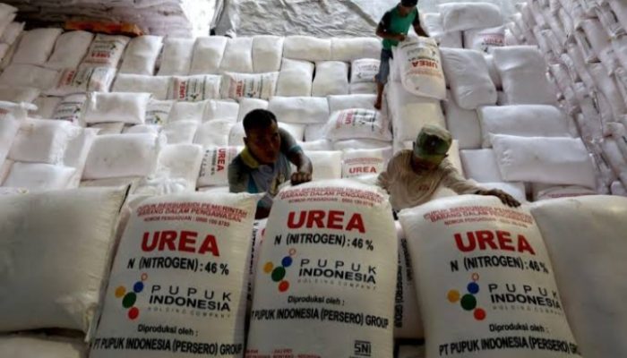Petani Cibatu Keluhkan Proses Pembelian Pupuk Subsidi yang Ribet