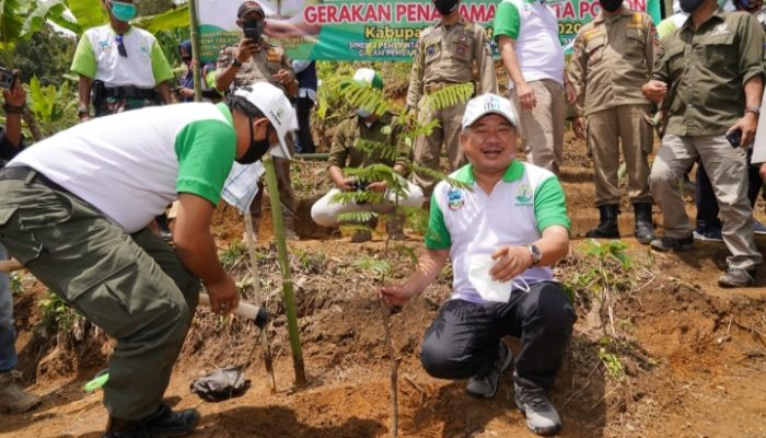 Seluas 56 Ribu dari 320 Ribu Hektare Lahan Hutan di Garut Berkondisi Kritis