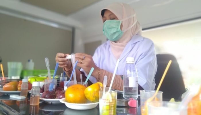 Guna Mengetahui Kandungan Bahan Kimia, Buah dan Sayuran di Garut Dirapid Test