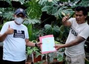 Seorang Warga Garut Barter Rumah Seharga Rp500 Juta dengan Tanaman Hias