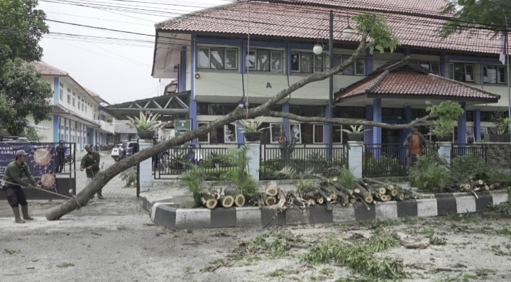Tebang