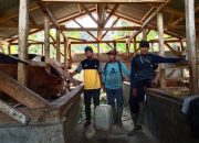 Kades Mekarmukti Berdayakan Anak Nakal dengan Membentuk Kelompok Peternak