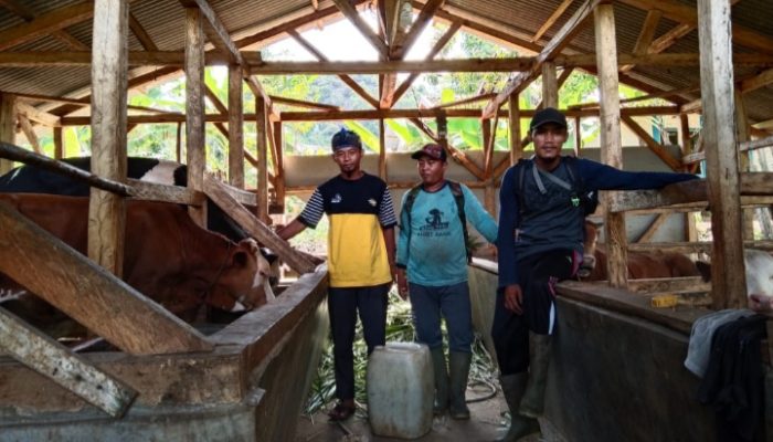 Kades Mekarmukti Berdayakan Anak Nakal dengan Membentuk Kelompok Peternak