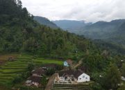 Desa Margamulya yang Potensial, Sayang Belum Tergali Maksimal