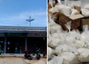 Klinik Bidan Yusma Yanti Bagi Sembako Ramadhan untuk Janda Tua dan Anak Yatim