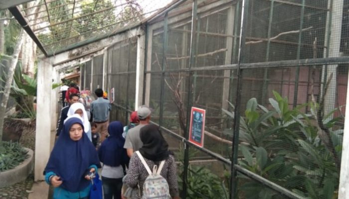 Operasional Taman Cikembulan Berhenti Sementara, Anggaran Pakan Satwa Dikurangi 