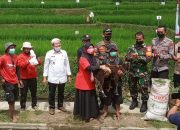 Meriahkan HUT ke-76 Kemerdekaan RI, Warga Banjarwangi Ikuti Lomba Ngarit Rumput Berhadiah Domba