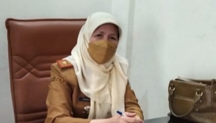 Sebuah Kabar Baik, Perpustakaan Umum Garut Kembali Dibuka untuk Dikunjungi
