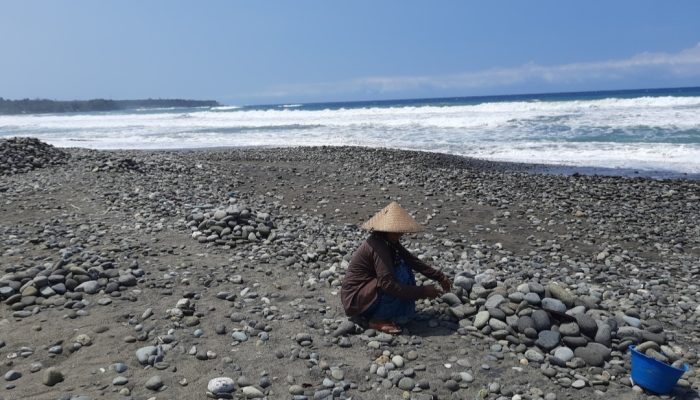 Selain Rumput Laut, Warga Indralayang Garut Selatan juga Tambang Rupiah dari Batu Pantai