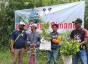 Minimalisir Longsor, Sekolah Sungai Cimanuk Tanam 3.000 Pohon di Cihurip