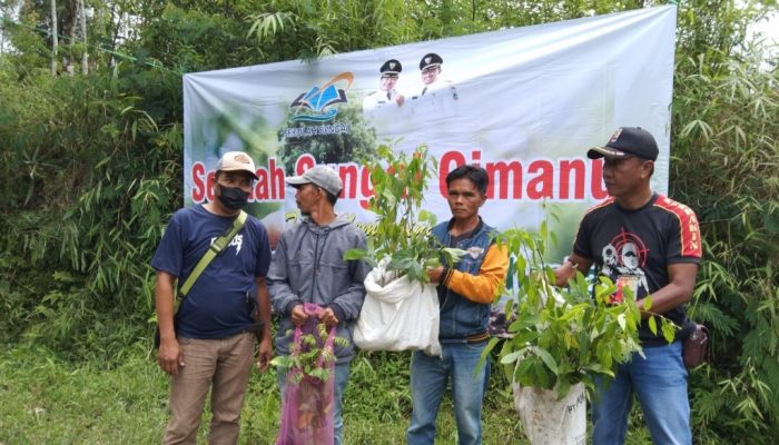 Minimalisir Longsor, Sekolah Sungai Cimanuk Tanam 3.000 Pohon di Cihurip