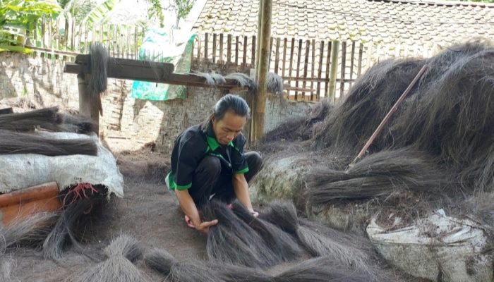 Menambang Rupiah dari Mengurai Jelimetnya Ijuk, Sehari Dapat 300 Ribu