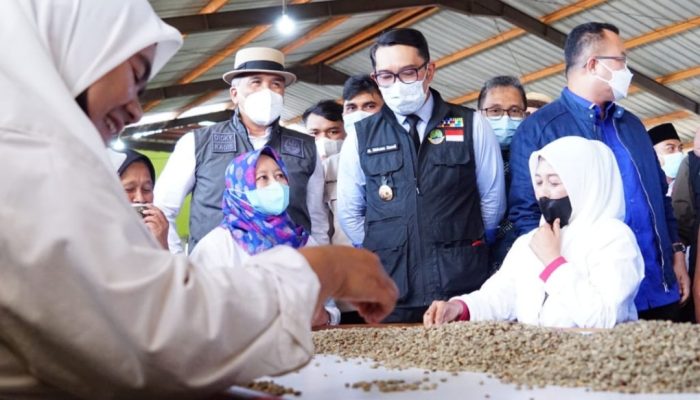 Gubernur Jabar Lepas Ekspor Kopi Asal Garut ke Belanda, Nilainya Capai Rp4 Miliar