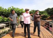 Wabup Garut Tinjau Kesiapan Pantai Sayangheulang Hadapi Libur Lebaran