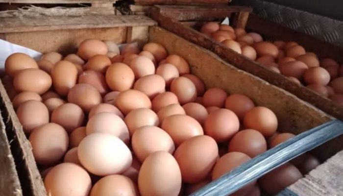 Jelang Ramadhan, Harga Telur di Pasar Guntur Garut Merangkak Naik