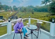 Destinasi Wisata Garut Ini Tengah Viral di Tik Tok, Miliki Lahan Pesawahan Terasering