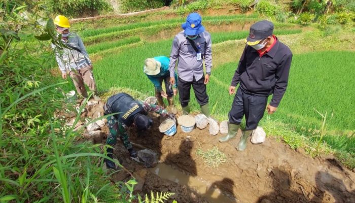Dukung Peningkatan Produksi Padi, Kelompok Tani di Cisewu Bangun Irigasi Desa