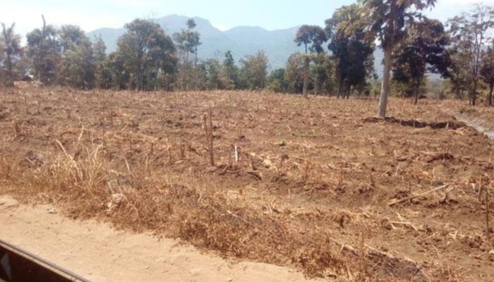 Kementan Gulirkan Program Optimasi Lahan Kering untuk Petani di Garut