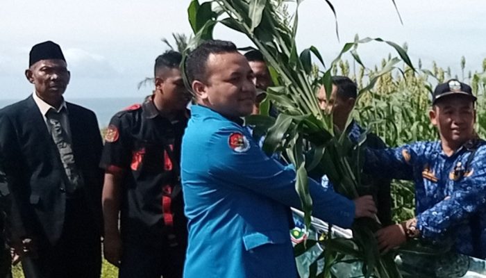 Panen Sorgum Meriahkan Peringatan Hari Sumpah Pemuda ke-94 di Mekarmukti