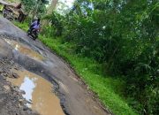 Jalan Bungbulang — Cijayana Rusak Parah, di Sepanjang 21 Kilometer Banyak Kubangan Air