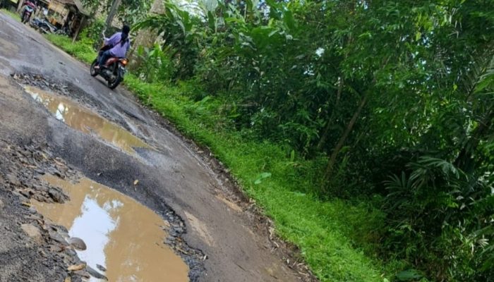Jalan Bungbulang — Cijayana Rusak Parah, di Sepanjang 21 Kilometer Banyak Kubangan Air