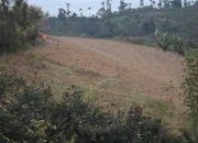 57 Hektare Lahan di Garut dalam Kondisi Kritis, Dinas LH:  Salah Satu Penyebab Bencana Alam