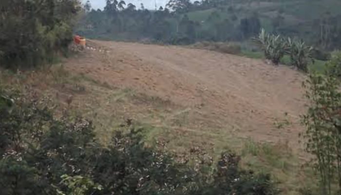 57 Hektare Lahan di Garut dalam Kondisi Kritis, Dinas LH:  Salah Satu Penyebab Bencana Alam
