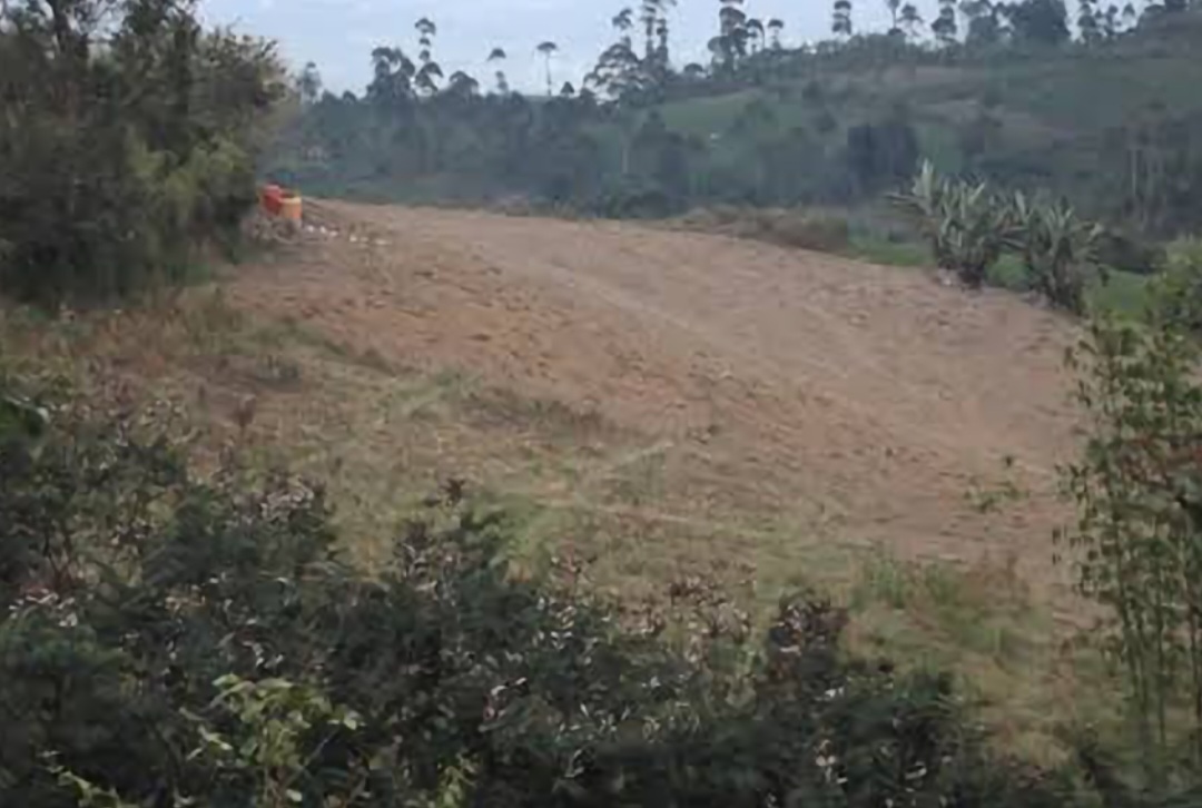 57 Hektare Lahan di Garut dalam Kondisi Kritis, Dinas LH:  Salah Satu Penyebab Bencana Alam