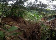 BPBD Garut Nyatakan Enam Rumah Terdampak longsor di Bungbulang Harus Direlokasi