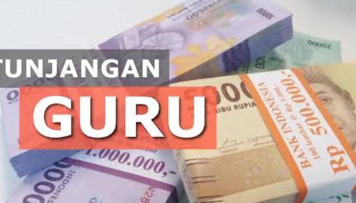 Guru Non Sertifikasi Bisa Dapat Tunjangan Tambahan Penghasilan dari Kemendikbud, Ini Syaratnya