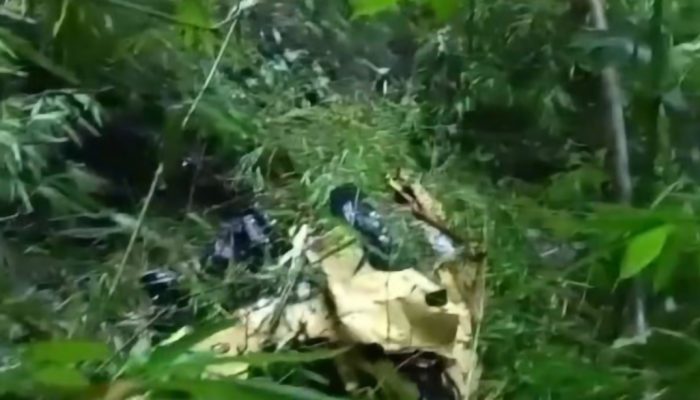 Polisi Identifikasi Tiga Korban Tewas dalam Insiden Truk Masuk Jurang di Garut