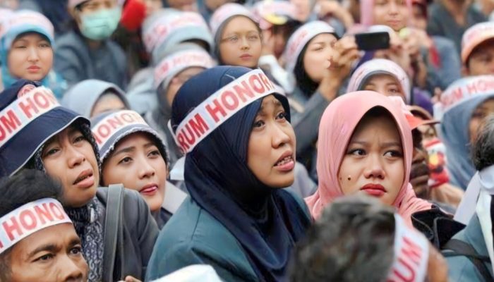 Tenaga Honorer Dihapus 28 November 2023, Tapi Dijamin Tidak Akan Ada PHK Massal