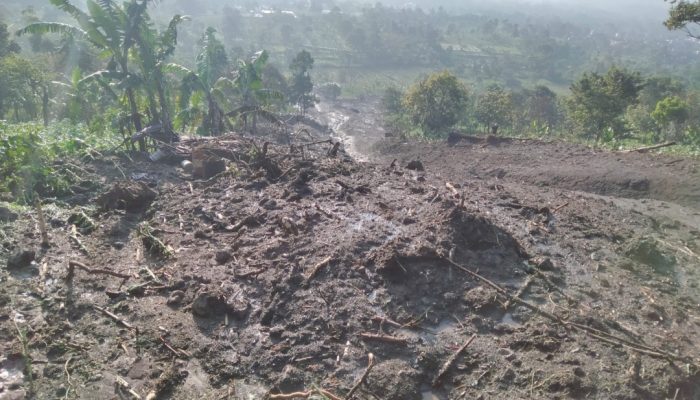 Kebun Tembakau dan Alpukat Tertimpa Longsor, Warga Sukaraja Banyuresmi Merugi Rp200 Juta