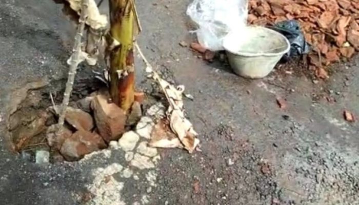 Jengkel Tak Diperbaiki, Warga Singajaya Tanam Pisang dan Ikan Lele di Jalan yang Rusak