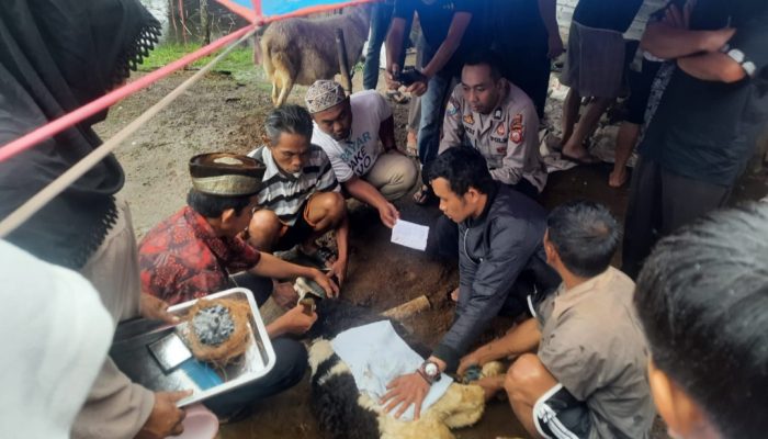 Jarang Berkurban, Warga Kampung Terpencil di Banjarwangi Dapat Bantuan Domba dari Polsek Setempat