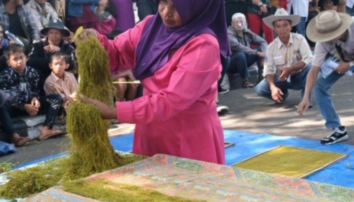 Produsen Terbesar di Jabar, Garut Hasilkan Tembakau 3.600 sampai 3.800 Ton per Tahun