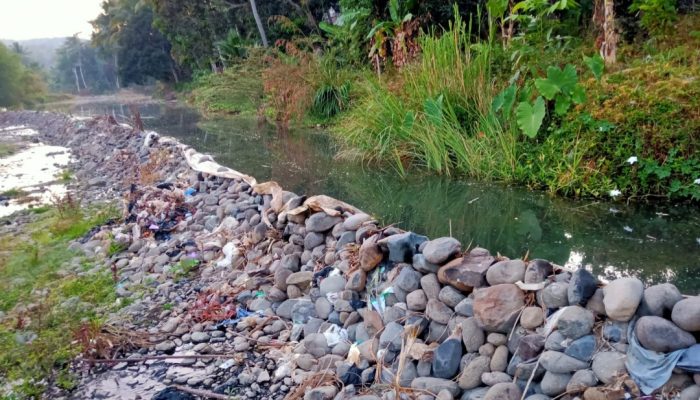 Saluran Irigasi Tak Berfungsi dan Sering Ambrol, Petani di Cikelet Garut Terancam Gagal Panen