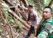 Lima Warga Caringin Tertimpa Pohon di Hutan Peundeuy: Empat Tewas, Satu Luka Parah