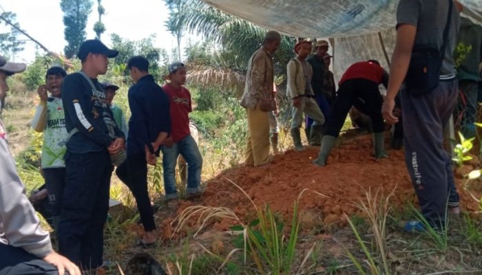 Warga Talegong Dilaporkan Tewas, Diduga Tertimpa Dahan Pohon Saat Berteduh