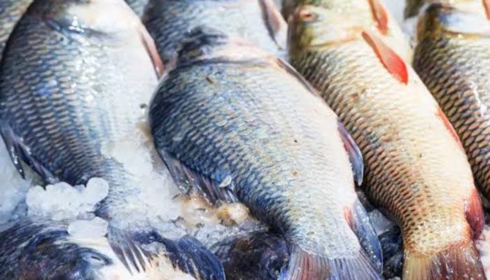 Di Bawah Rata-rata Jabar, Angka Konsumsi Ikan di Garut Sebesar 30,77 Kg per Kapita