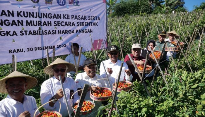 Panen Cabai di Garut Diharapkan Bisa Memberikan Kontribusi dalam Penanganan Inflasi