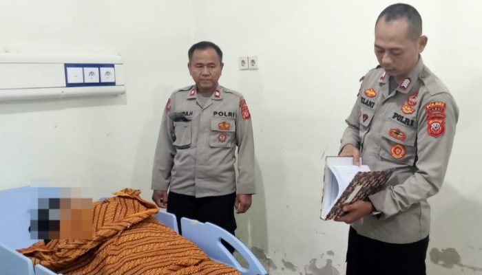 Hindari Kucing Melintas, Mobil Pikup Sarat Penumpang Terjungkal di Cibalong, Seorang Tewas