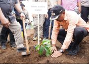 Karena Tingginya Permintaan Pasar Dalam Negeri, Garut Targetkan Tanam 770 Ribu Pohon Kopi